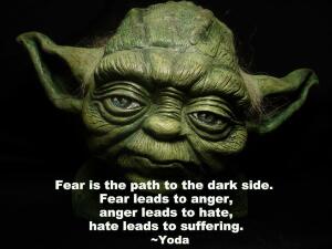 s-the-path-to-the-dark-side-fear-leads-to-anger-anger-leads-to-hate-hate-leads-to-suffering-yoda.jpg