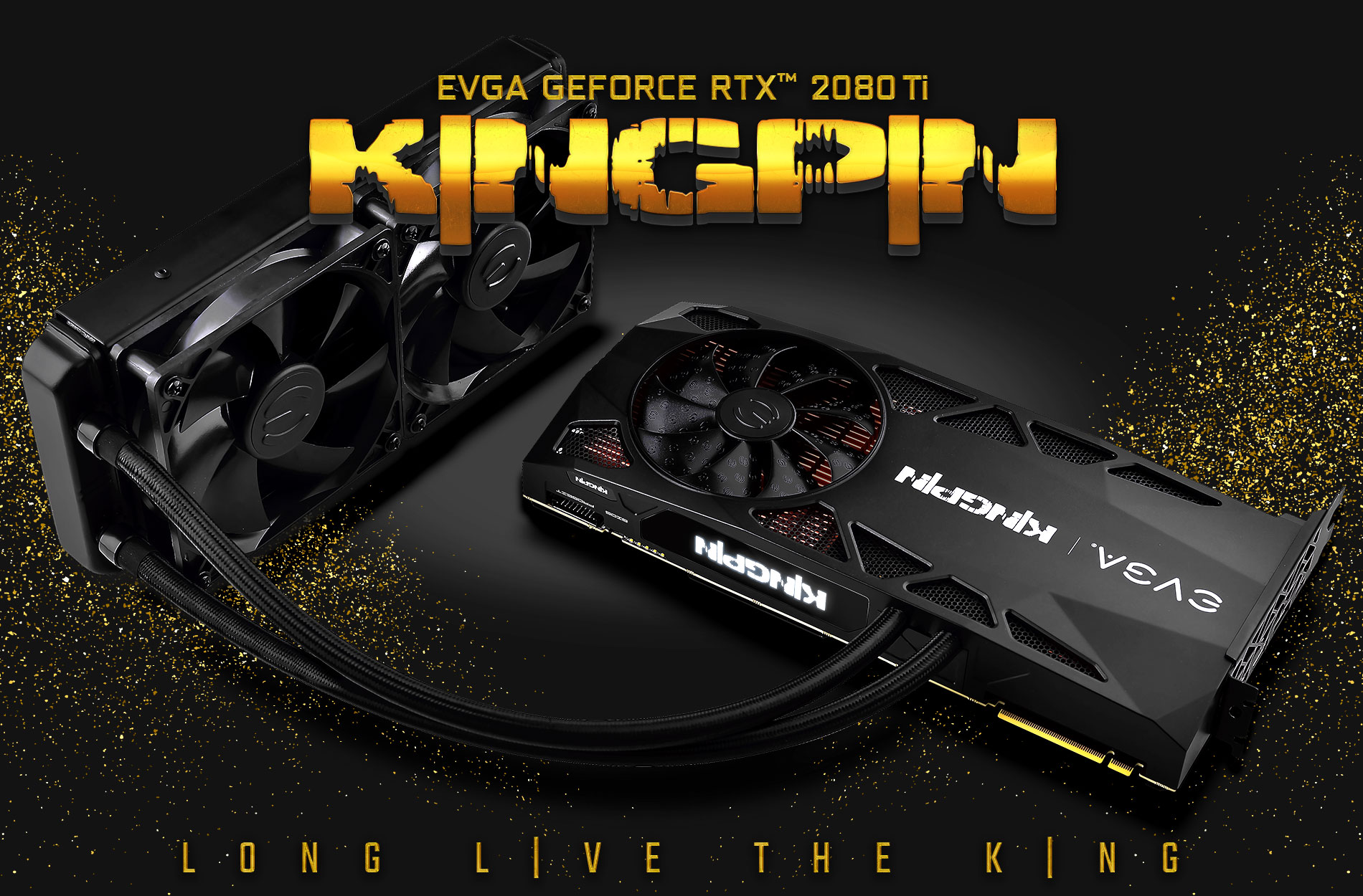 RTX2080Ti_KPE_header_no_text.jpg RTX2080Ti_KPE_header_no_text.jpg