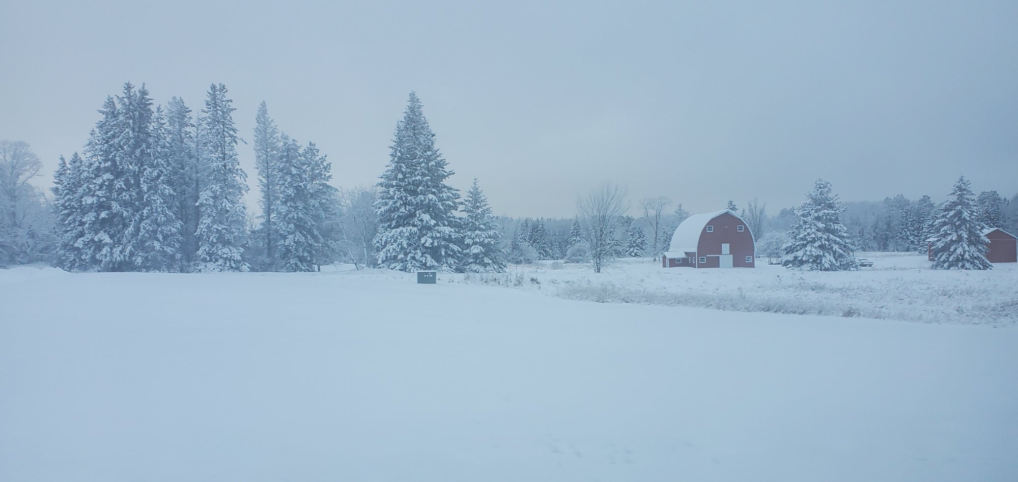 20210118_092357.jpg 20210118_092357.jpg